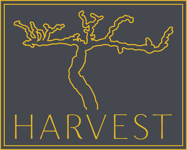 A minimalist graphic logo for Harvest Wine Market, a Nashville wine shop, features a stylized yellow grape vine on a dark blue background. Below the vine, the word "HARVEST" is written in yellow capital letters. The entire design is framed by a yellow border, evoking elegance and simplicity.