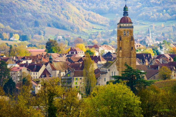 Jura Wine School