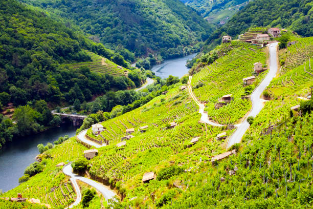 Galicia Wine School