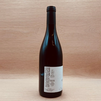 Clément Chicotot, Ladoix, France, Pinot Noir, 2022