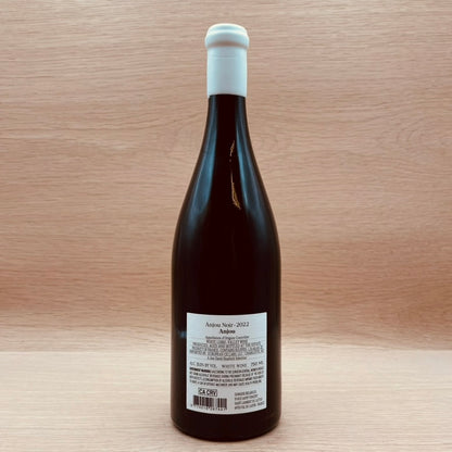 Domaine Belargus, "Anjou Noir," Anjou, France, Chenin Blanc, 2022