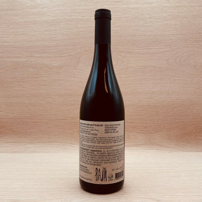 Kobal, "Bajta," Ptuj, Slovenia, Skin Contact White Blend 2022
