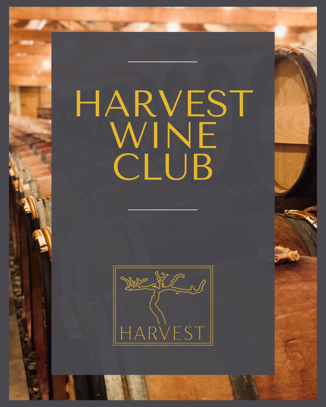 Harvest Wine Club Individual Membership – Harvest Wine Market