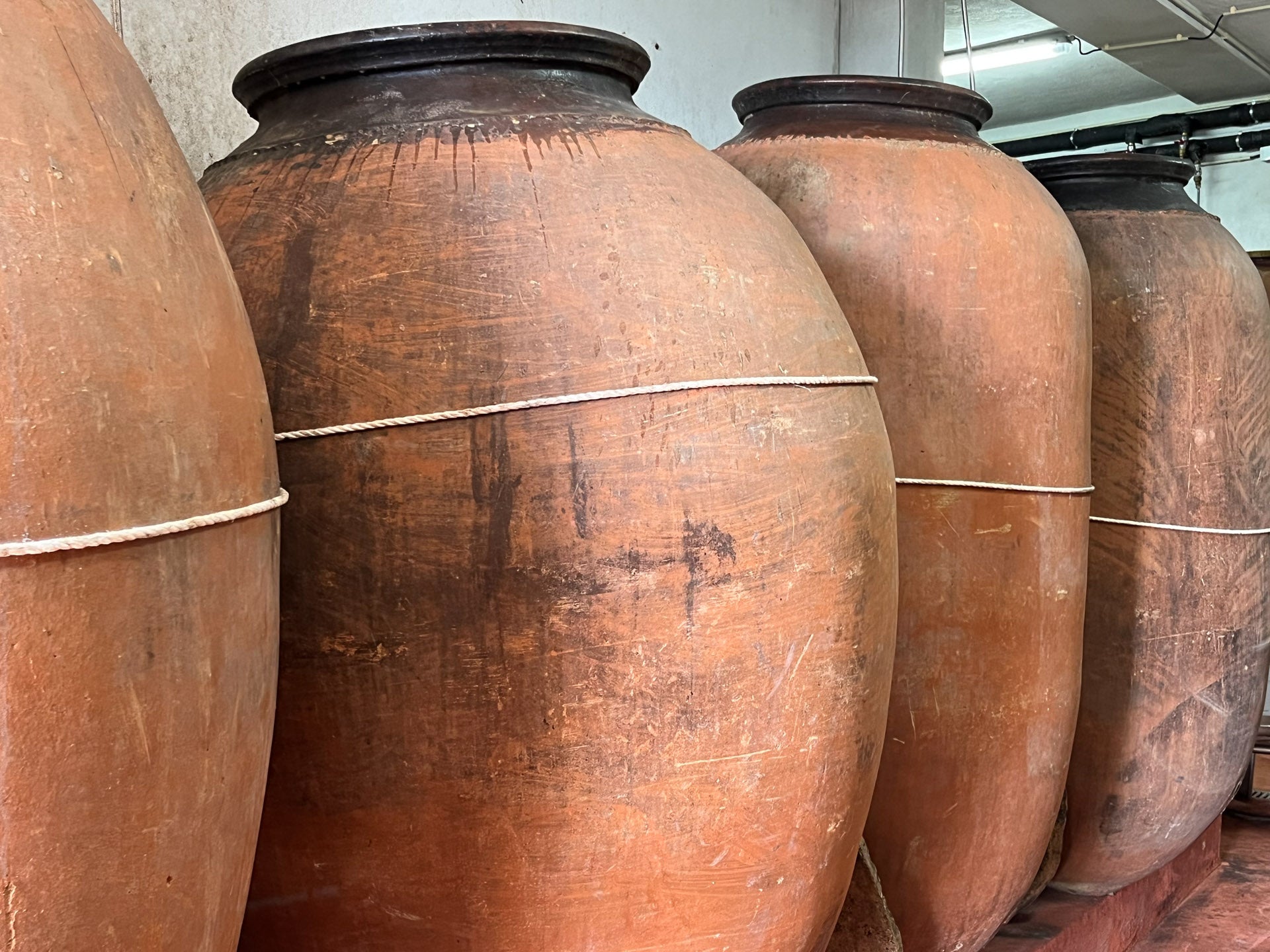 A row of large, weathered terracotta jars lined up against a wall in Nashville, TN. The jars have a rustic appearance with visible textures and markings on their surfaces. Each jar is secured with a thin, white rope tied around its middle, evoking the charm of traditional wine and spirits storage.