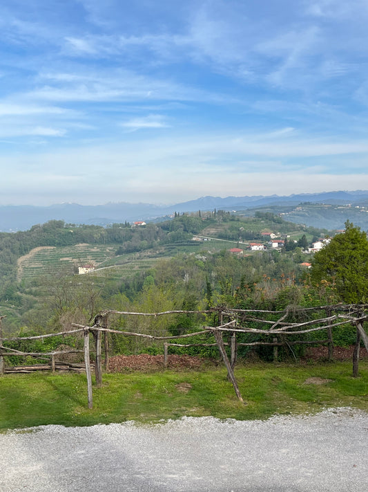 Friuli Wine Education
