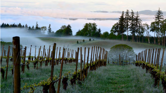 Eyrie In Store Tasting Sept. 17th