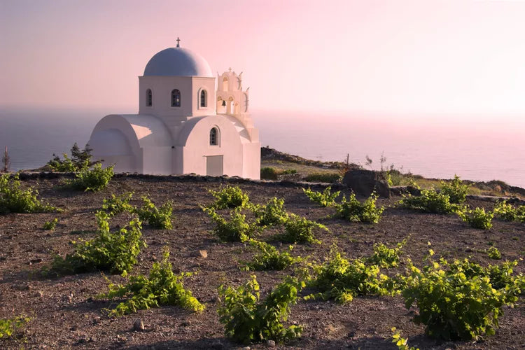 Greek Wine School